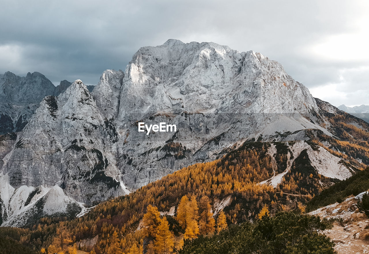 Tree line, fall colors under mountain. alpine, alps, autumn, beauty in nature.