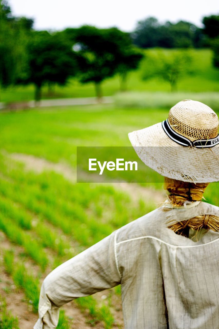 Rear view of scarecrow with hat at farm