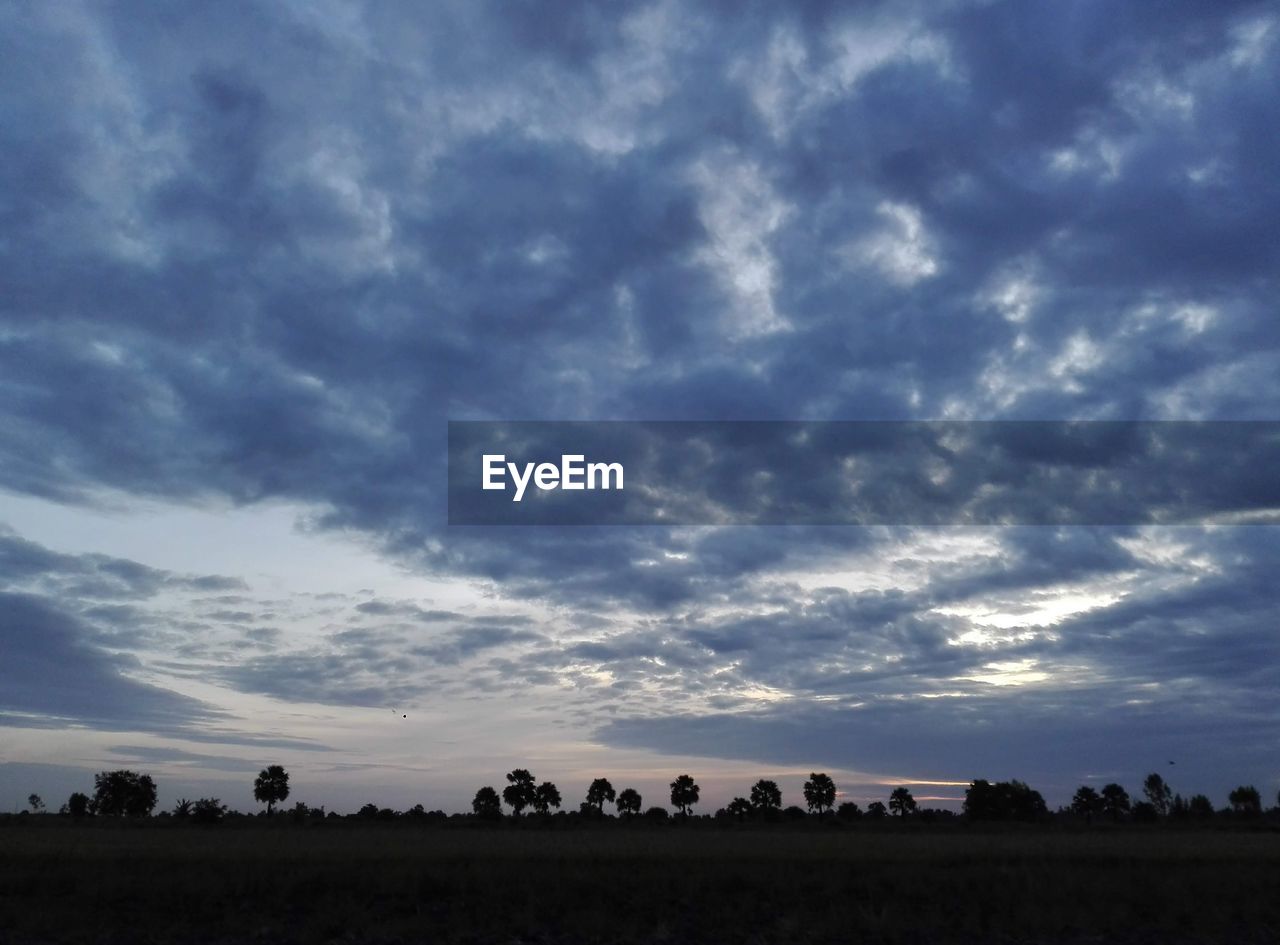 sky, cloud, horizon, landscape, environment, nature, scenics - nature, beauty in nature, plant, land, field, agriculture, no people, dusk, rural scene, plain, cloudscape, dramatic sky, blue, tree, tranquility, sunset, outdoors, tranquil scene, silhouette, prairie, evening, grassland, grass, storm, horizon over land, non-urban scene, farm