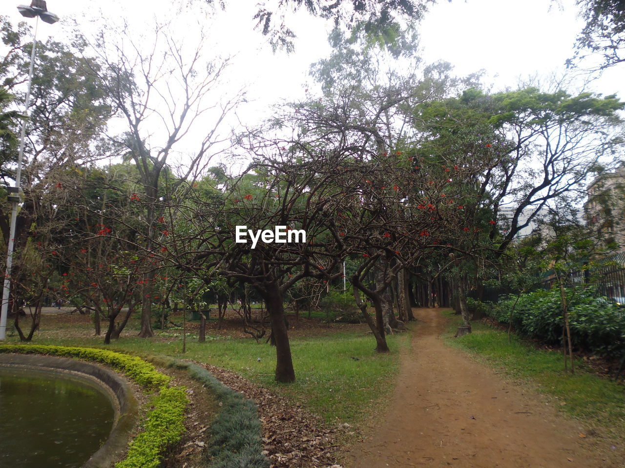 TREES AND PLANTS ON LANDSCAPE