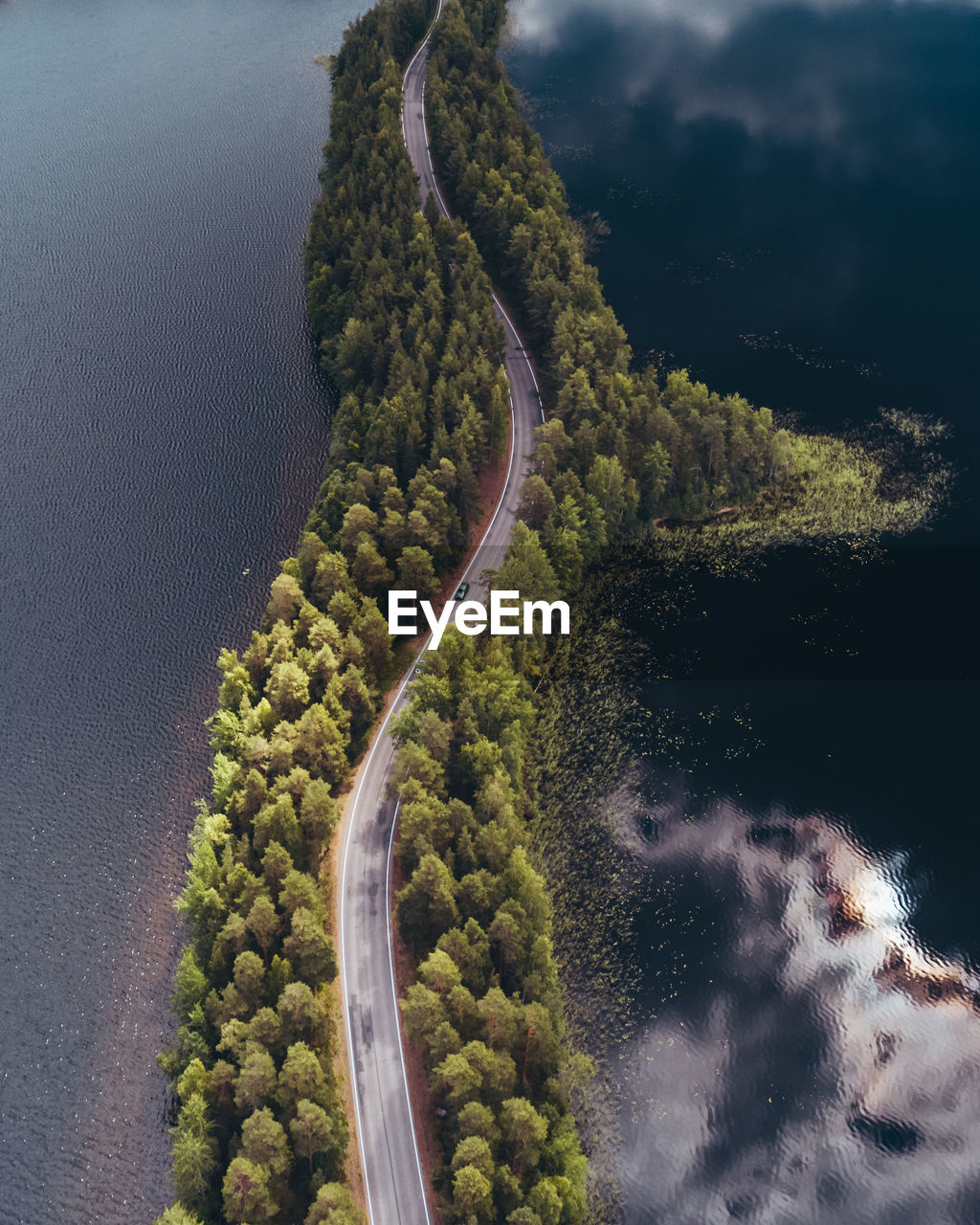 Aerial view of road amidst trees by lake