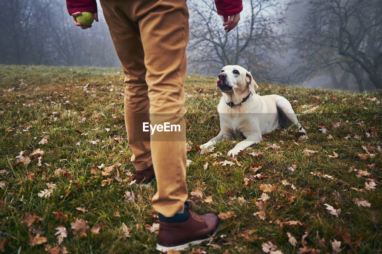 Low section of man with dog at park