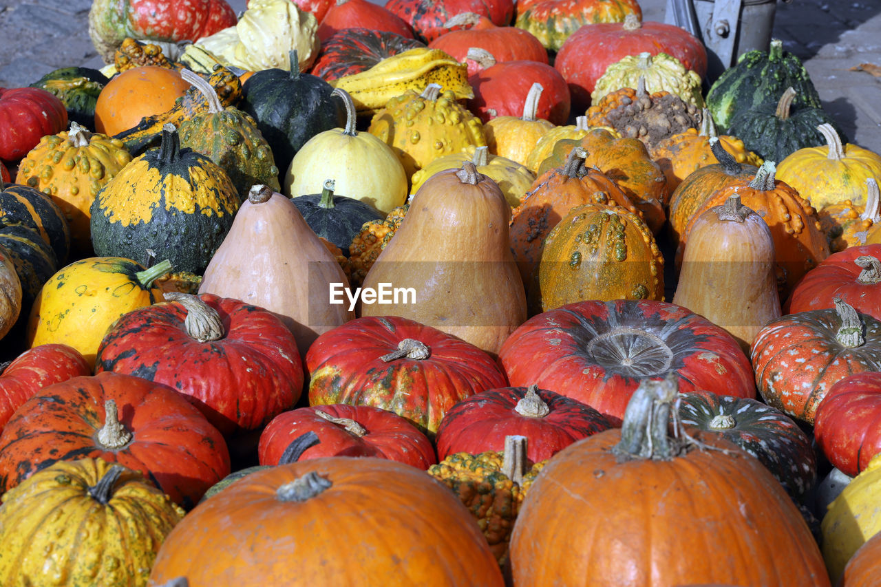 HIGH ANGLE VIEW OF PUMPKINS IN MARKET