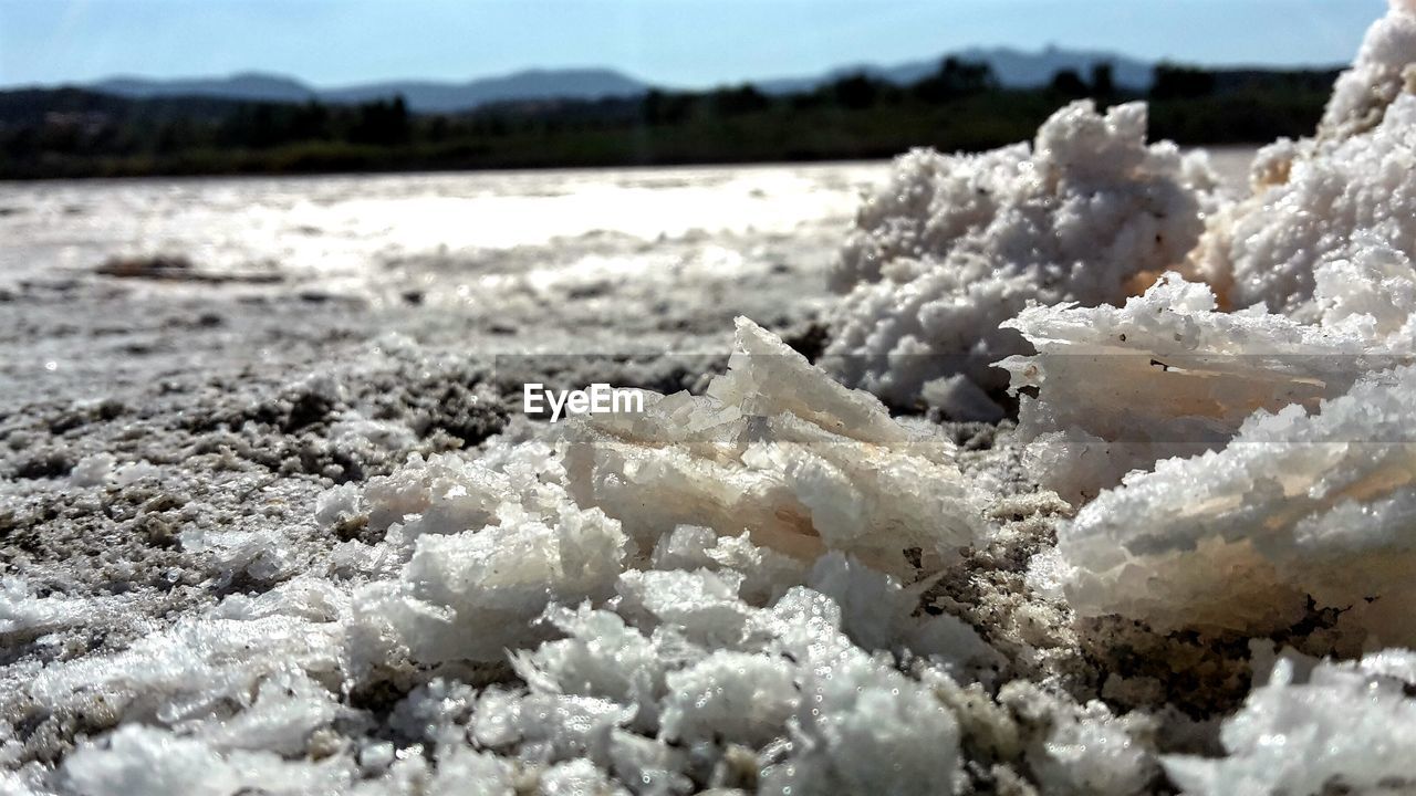 Close-up of salt at beach