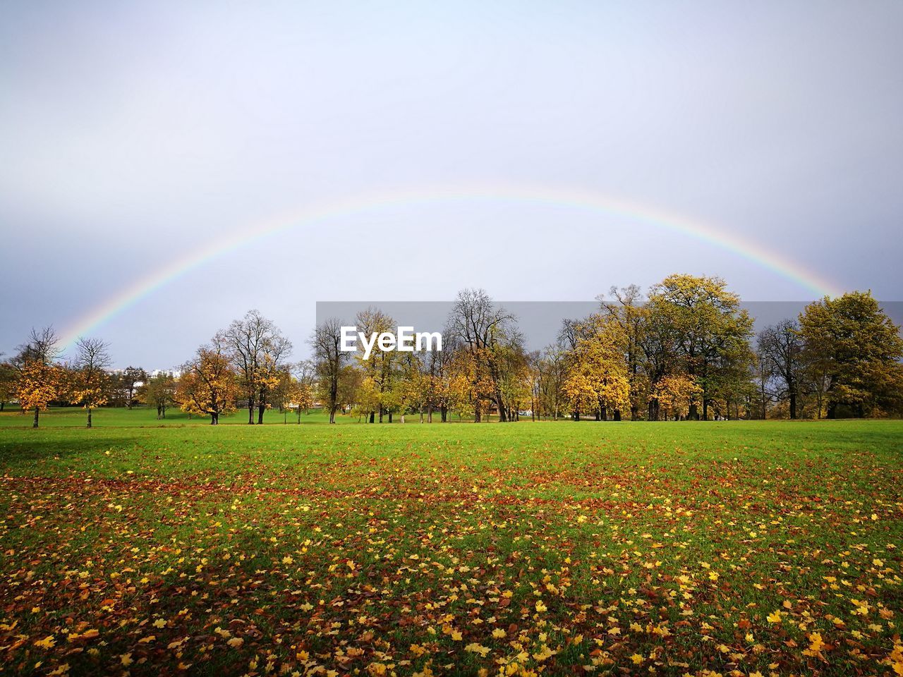 RAINBOW OVER FIELD AGAINST SKY