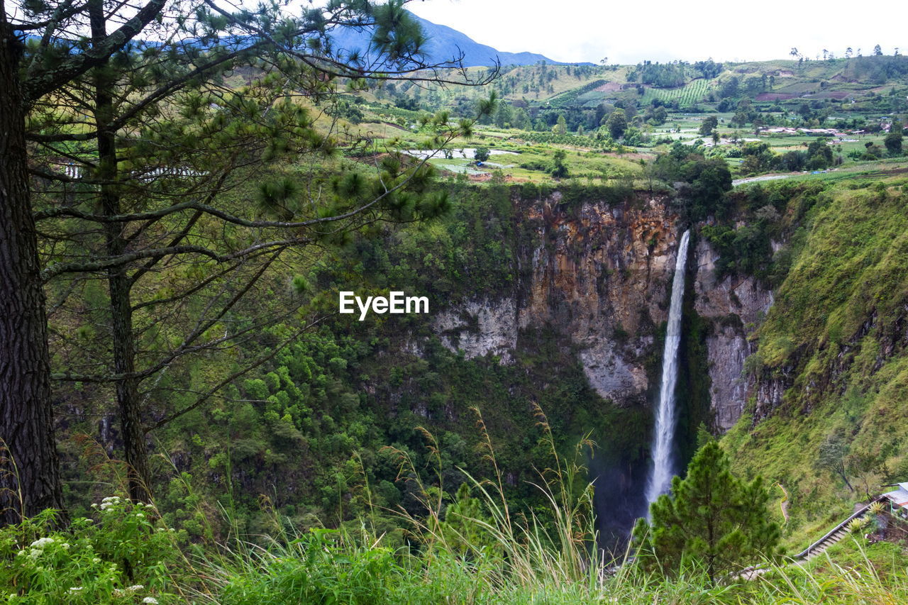 VIEW OF WATERFALL IN FOREST