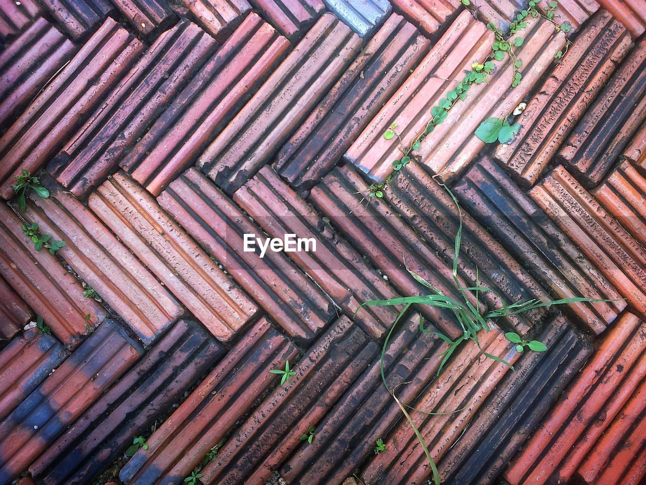 Full frame shot of roof tiles