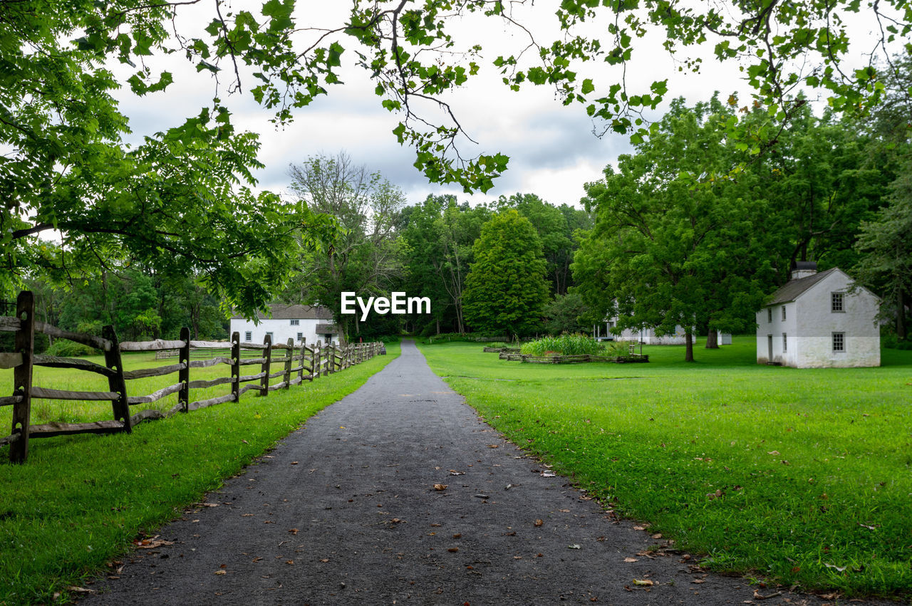 FOOTPATH AMIDST TREES AND PLANTS AGAINST SKY