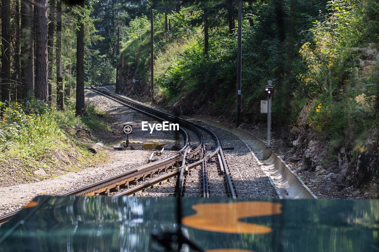 RAILROAD TRACK AMIDST TREES IN FOREST