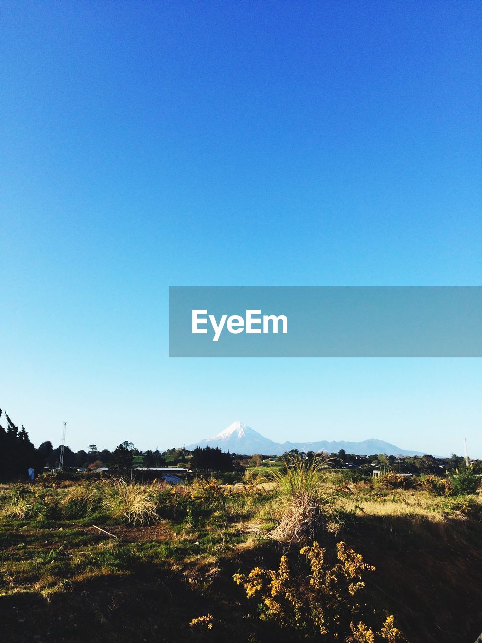 Scenic view of landscape against clear blue sky
