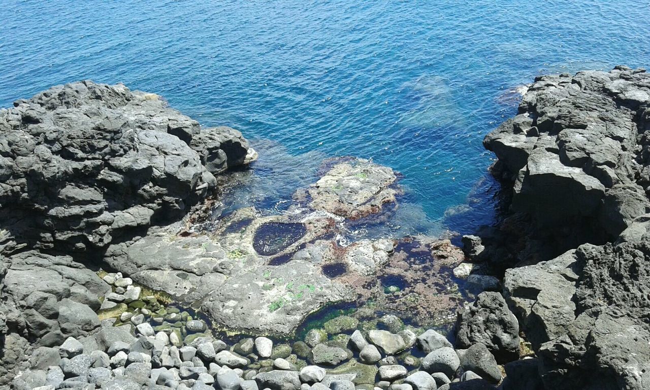 HIGH ANGLE VIEW OF SEA AND CACTUS