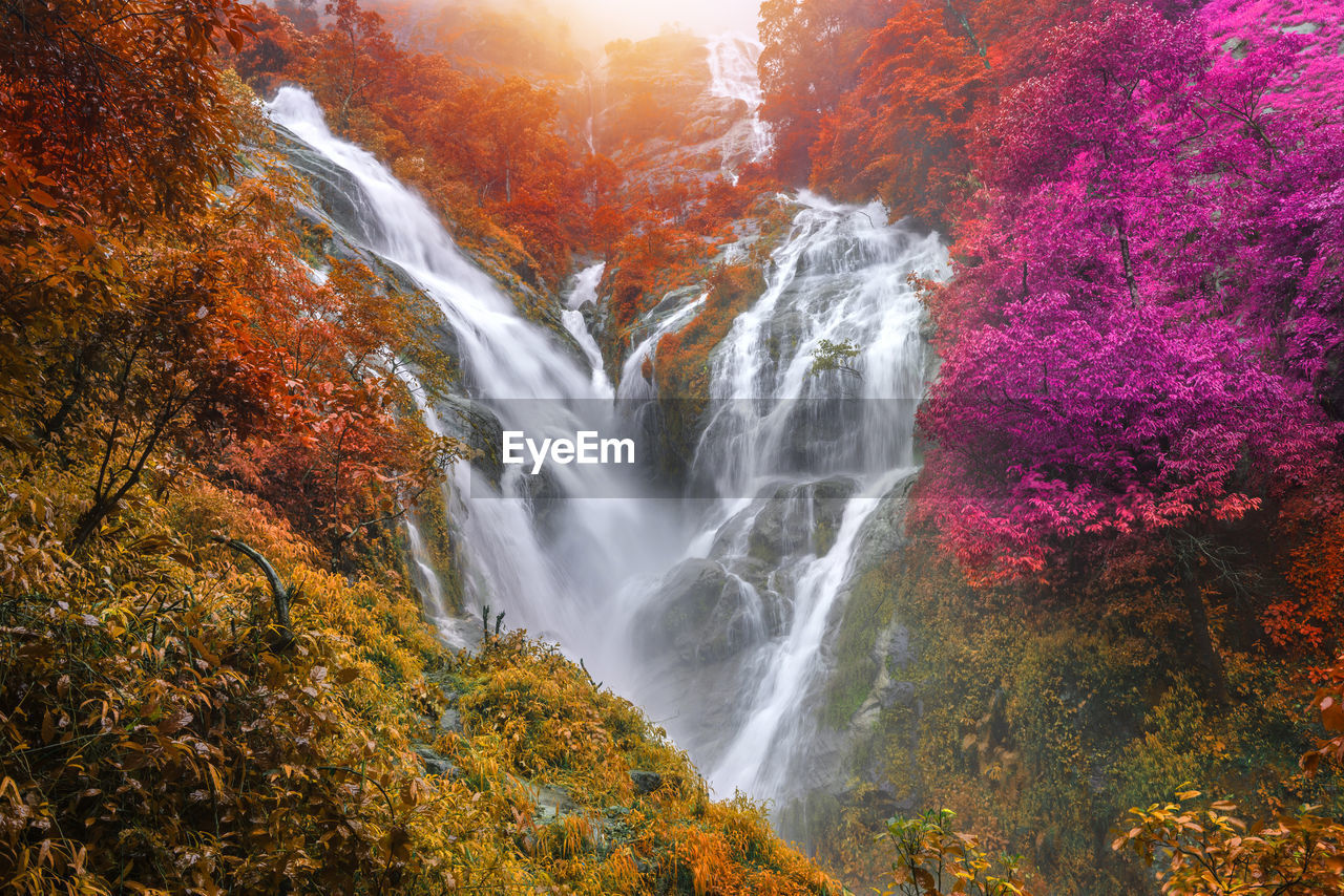 SCENIC VIEW OF WATERFALL