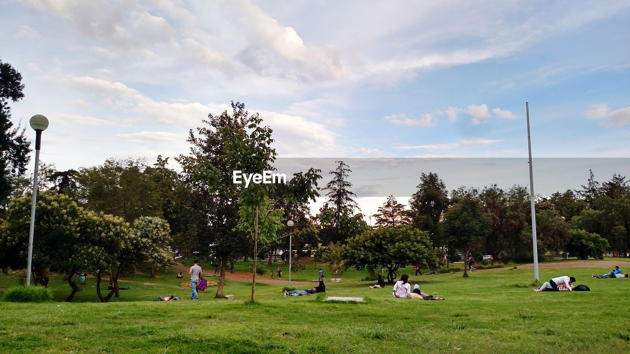 PEOPLE SITTING ON GRASSY FIELD IN PARK