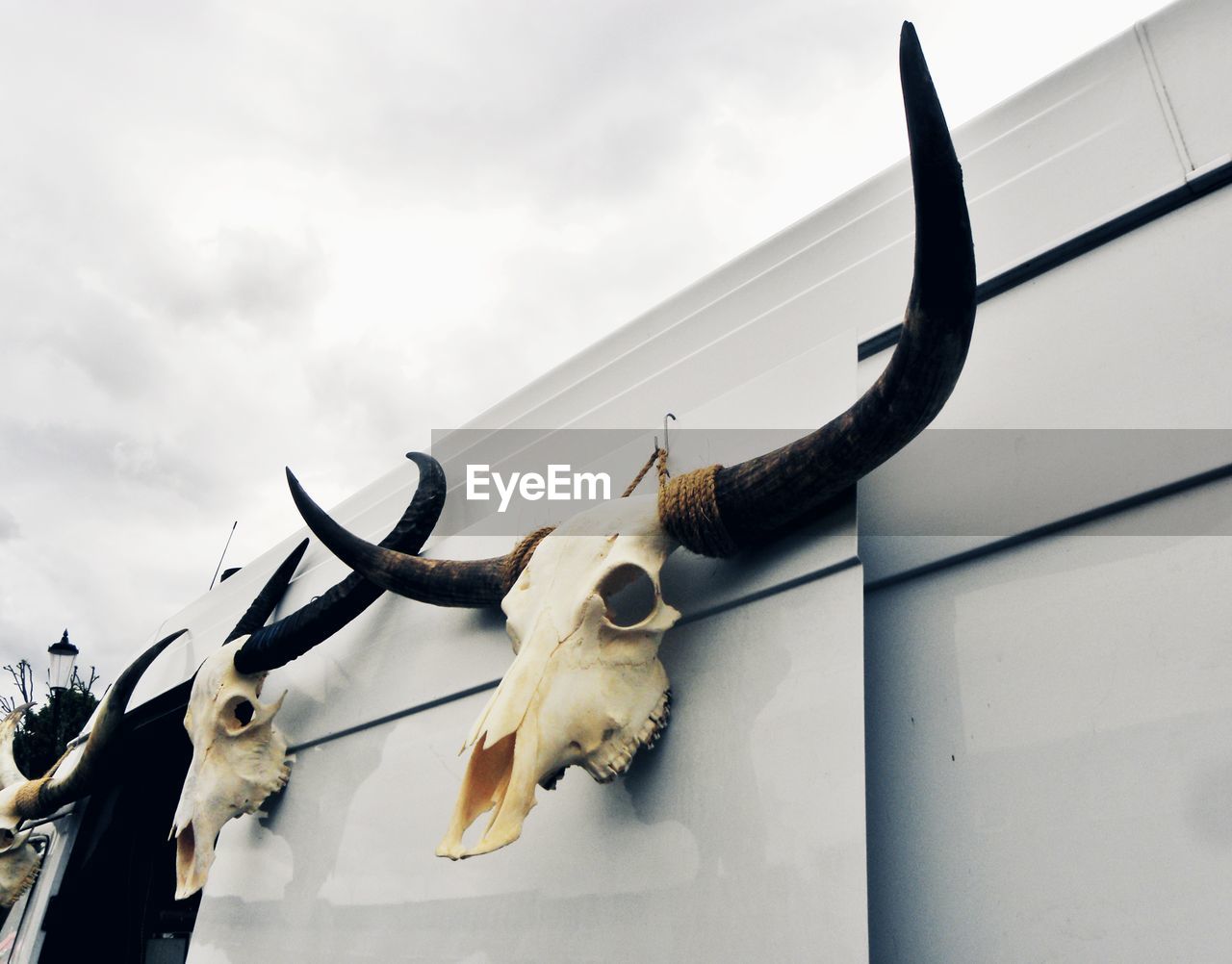 Low angle view of animal statue against sky