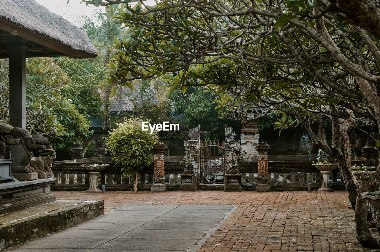 trees in front of building