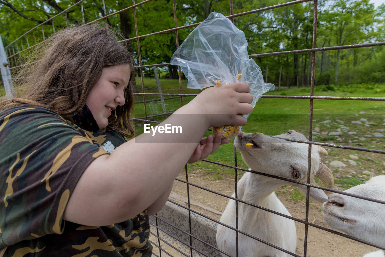 Girl feeding goat