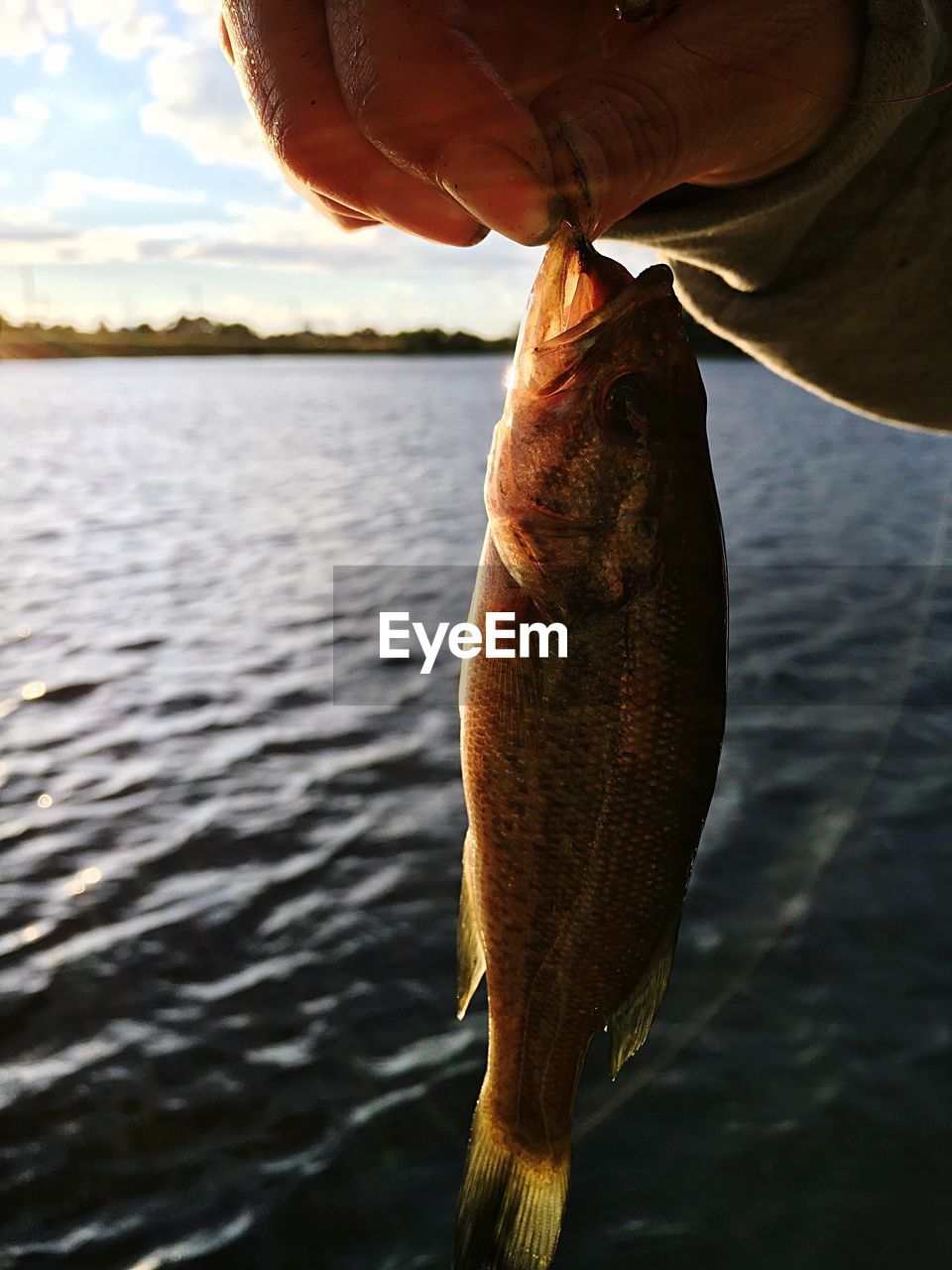 Close-up of hand holding fish against lake