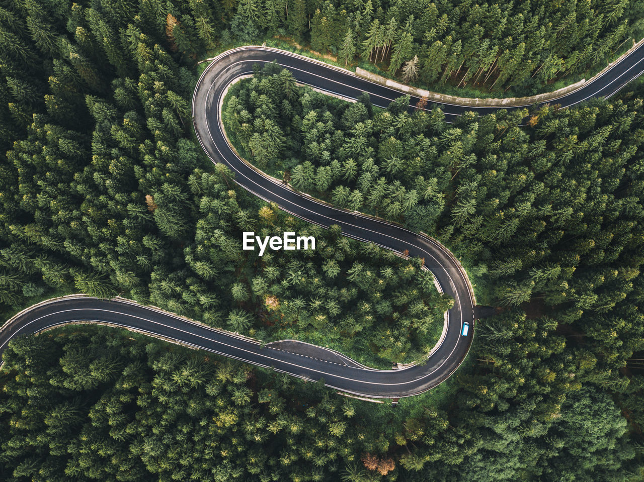 Aerial view of winding road during amidst trees