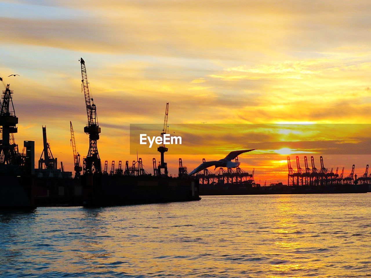 Silhouette cranes at harbor against sky during sunset