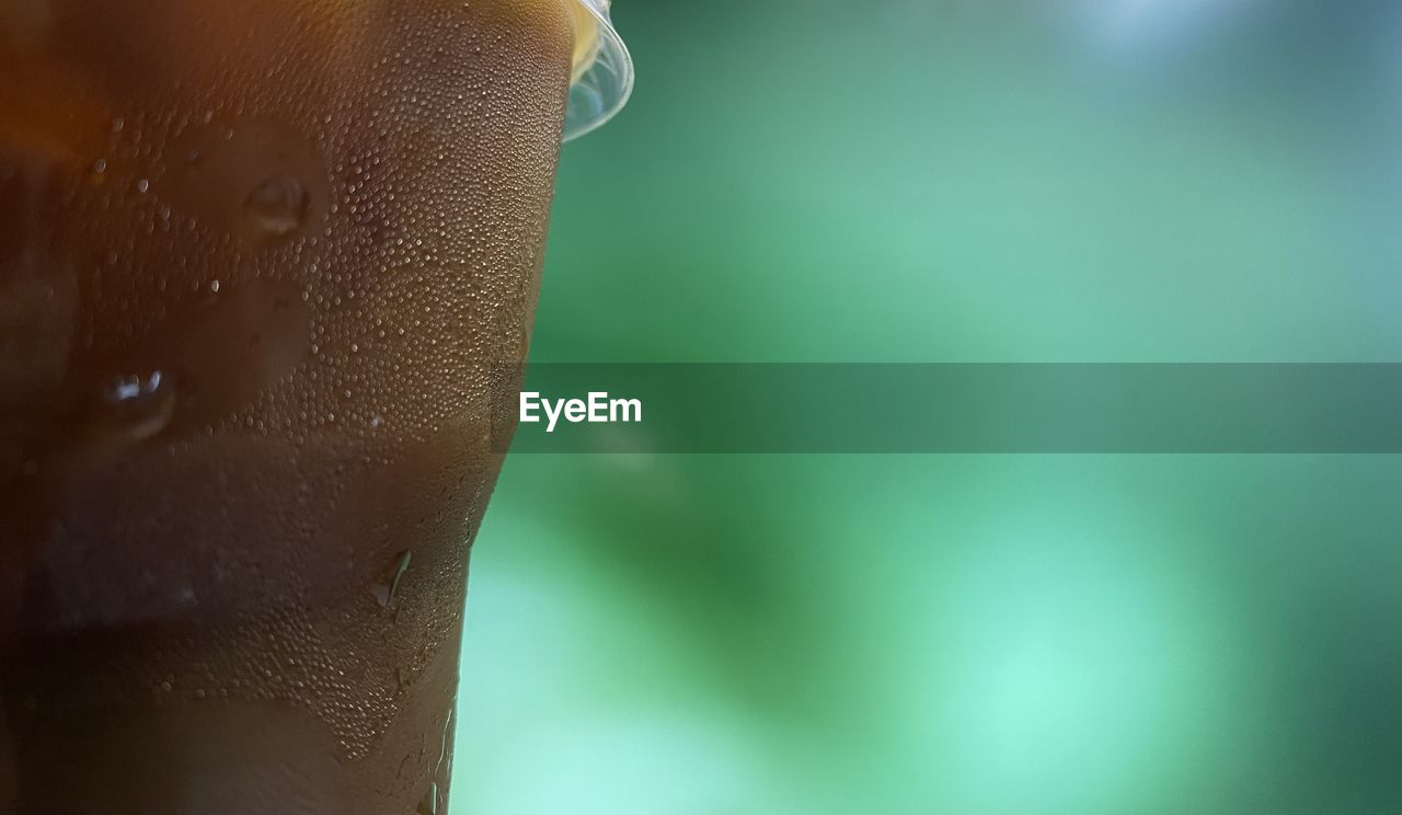 close-up, macro photography, green, hand, wet, skin, water, drop, one person, refreshment, limb, focus on foreground, yellow, light, leaf, finger, drink, nature, food and drink, indoors, adult, human leg, copy space