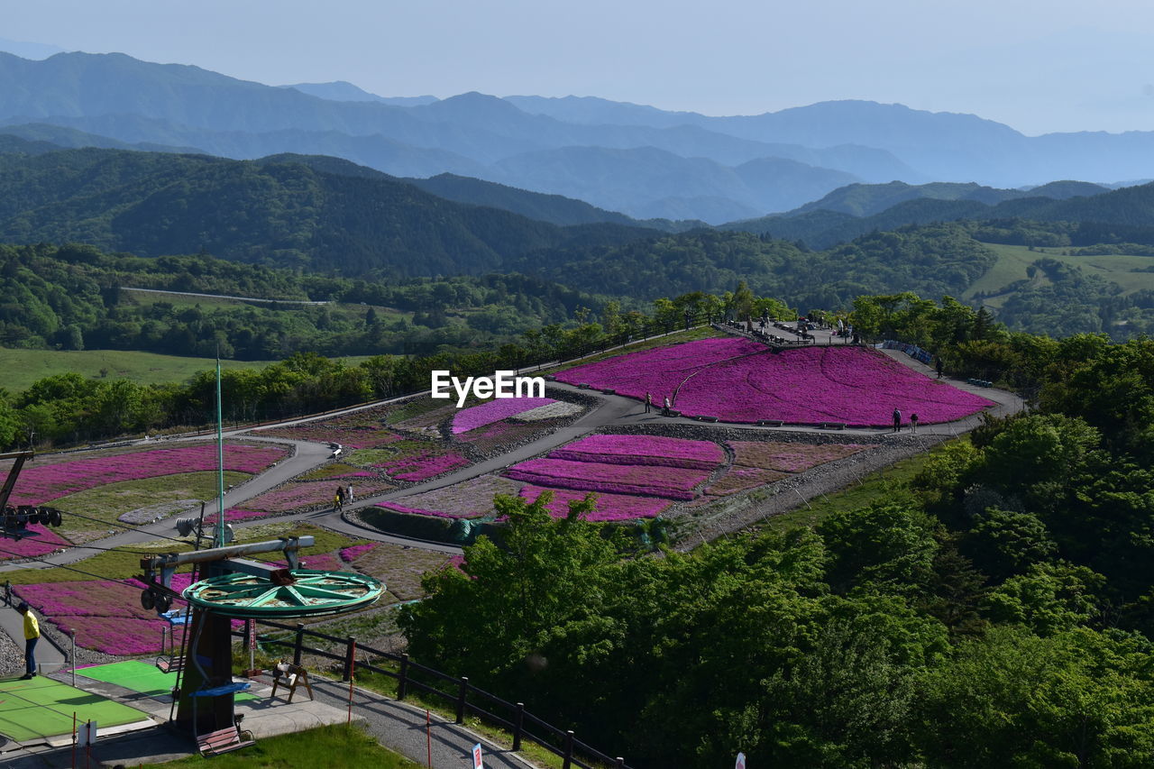 HIGH ANGLE VIEW OF PINK AND TREES AGAINST MOUNTAINS