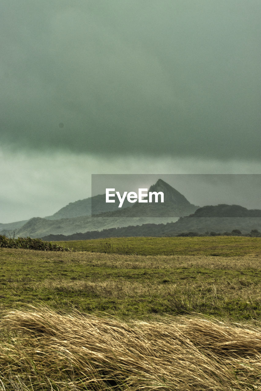 Scenic view of field against sky