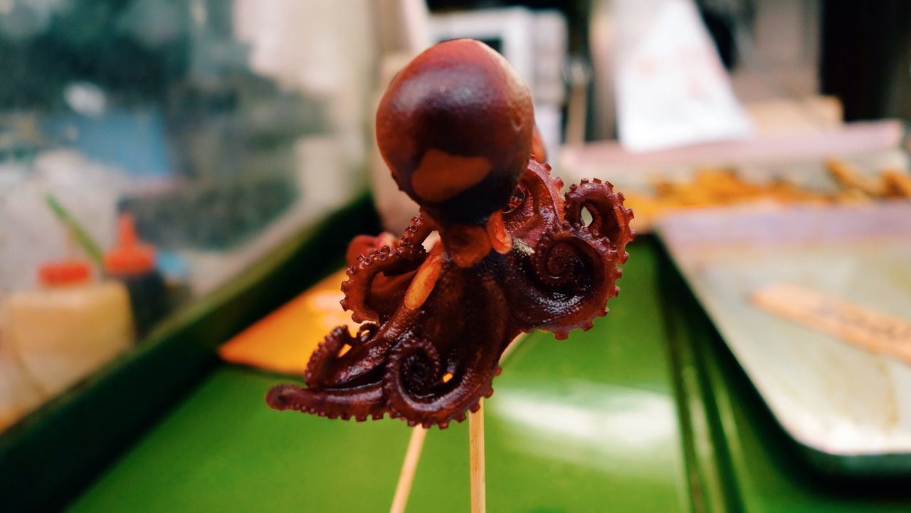 Close-up of octopus with chopsticks