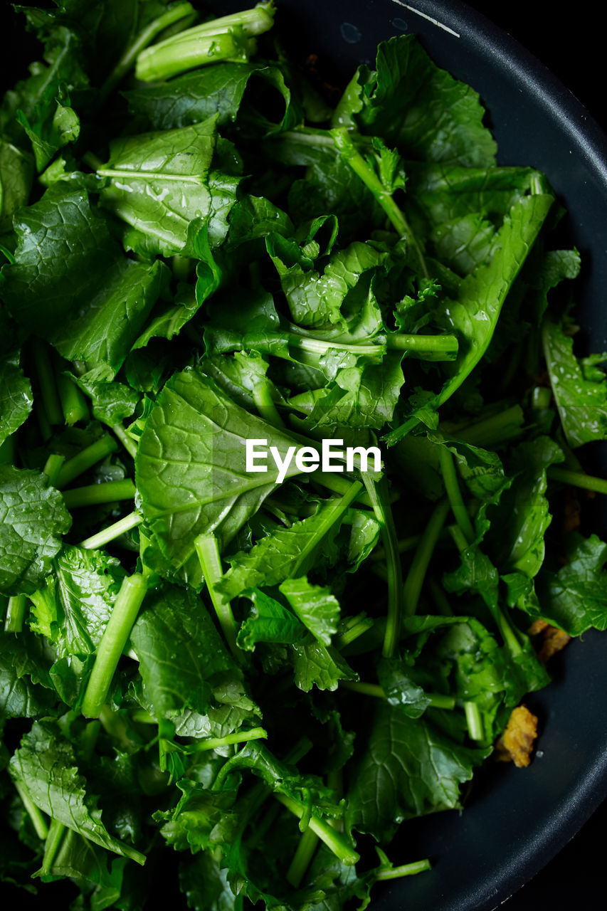 Close-up of chopped turnip leaves in bowl