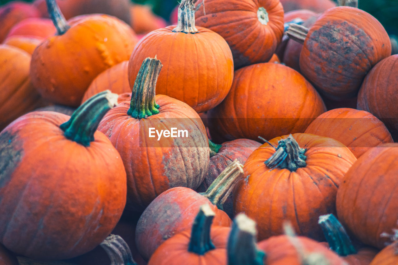 High angle view of pumpkins for sale at market stall