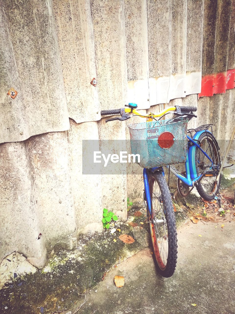 BICYCLE ON WALL