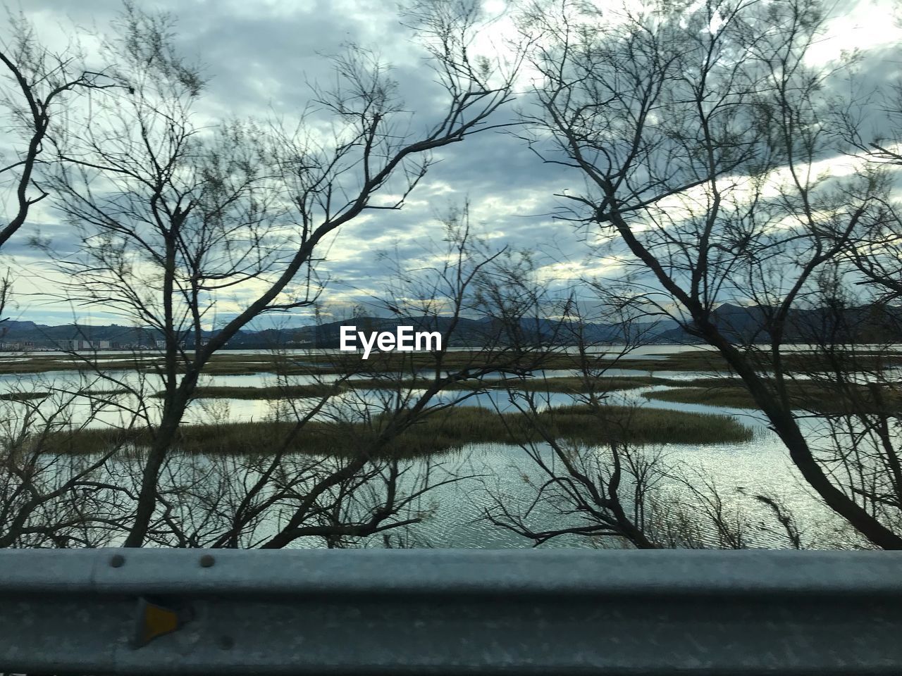 BARE TREES BY LAKE AGAINST SKY