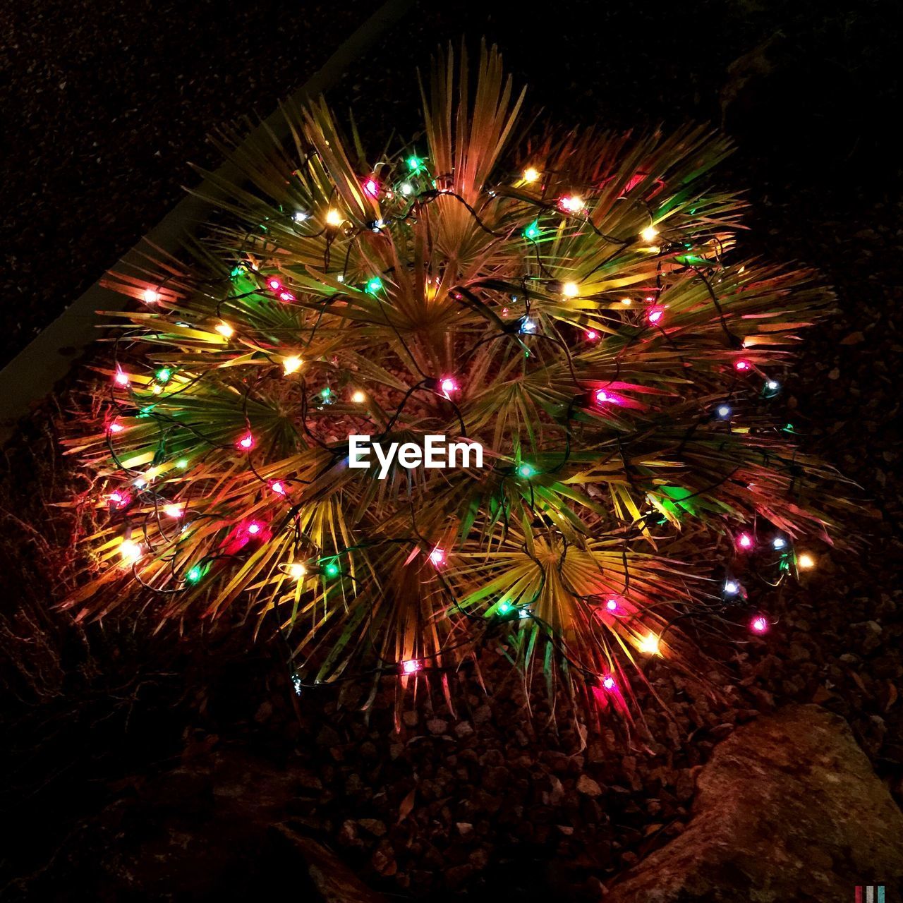 LOW ANGLE VIEW OF FIREWORKS DISPLAY