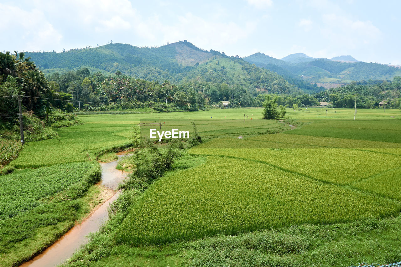 SCENIC VIEW OF FIELD AND MOUNTAINS AGAINST SKY