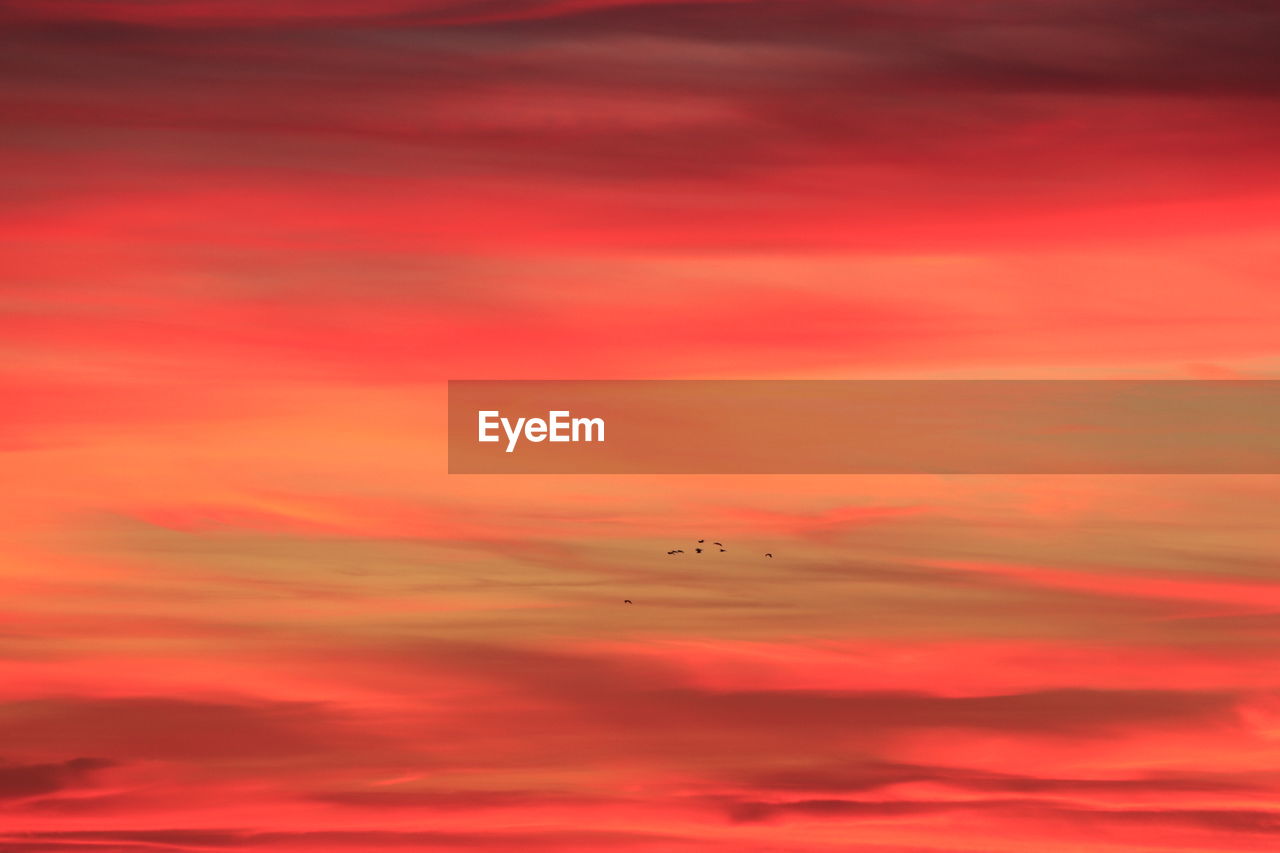 Scenic view of orange sky
