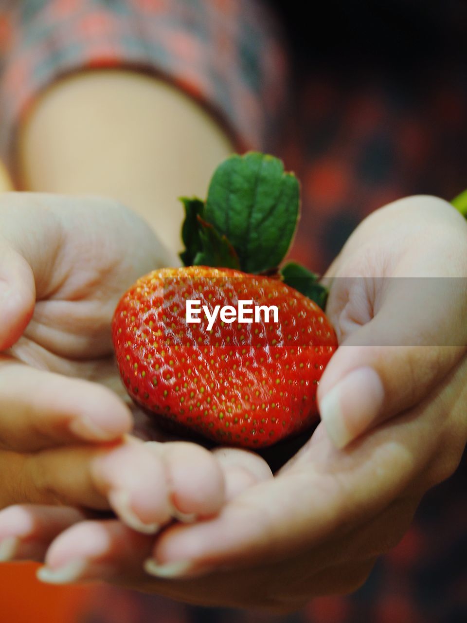 Close-up of hand holding strawberries