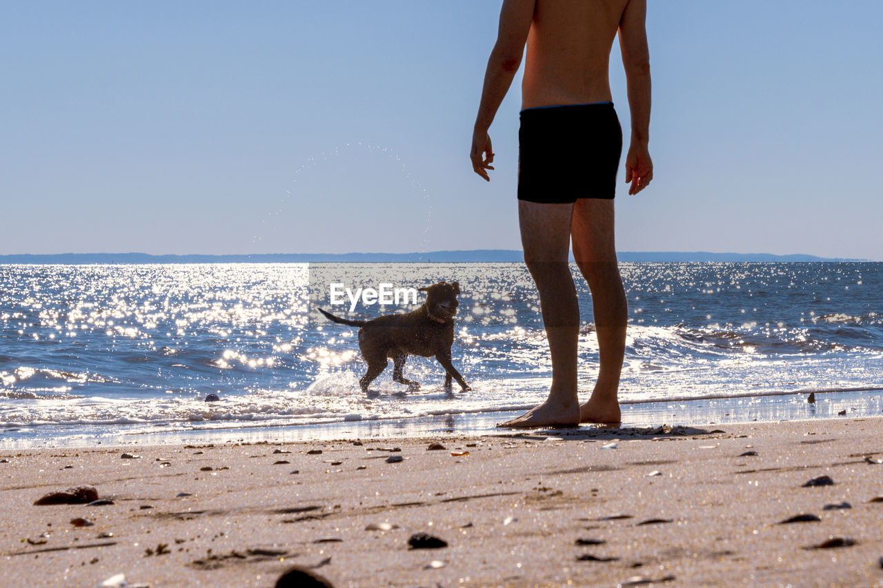 Man and dog on sandy beach playing in sparkling water.