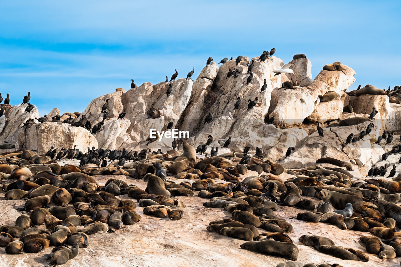 ROCK FORMATIONS ON SHORE