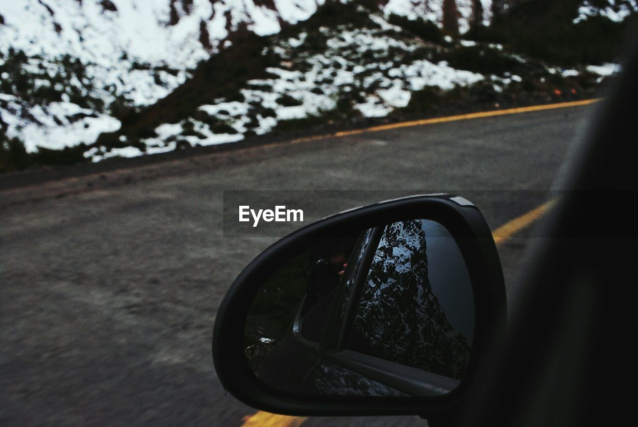 Reflection of trees in side-view mirror