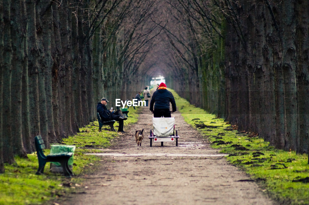 People on pathway amidst bare trees at park