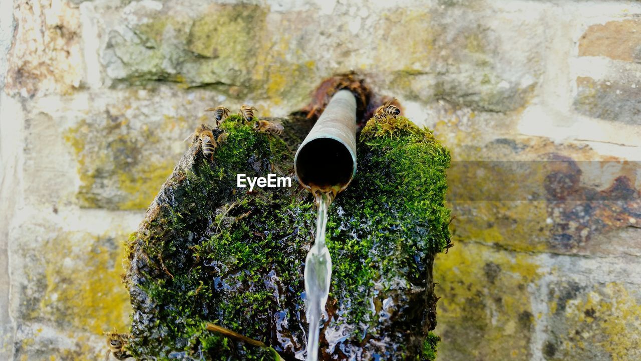 CLOSE-UP OF WATER FOUNTAIN AMIDST ROCKS