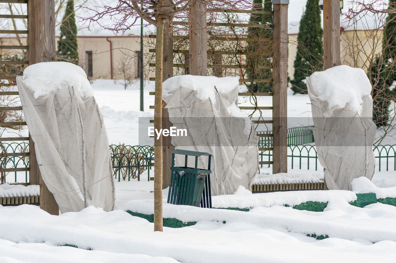 Plants and trees in a park or garden covered by the snow and blanket