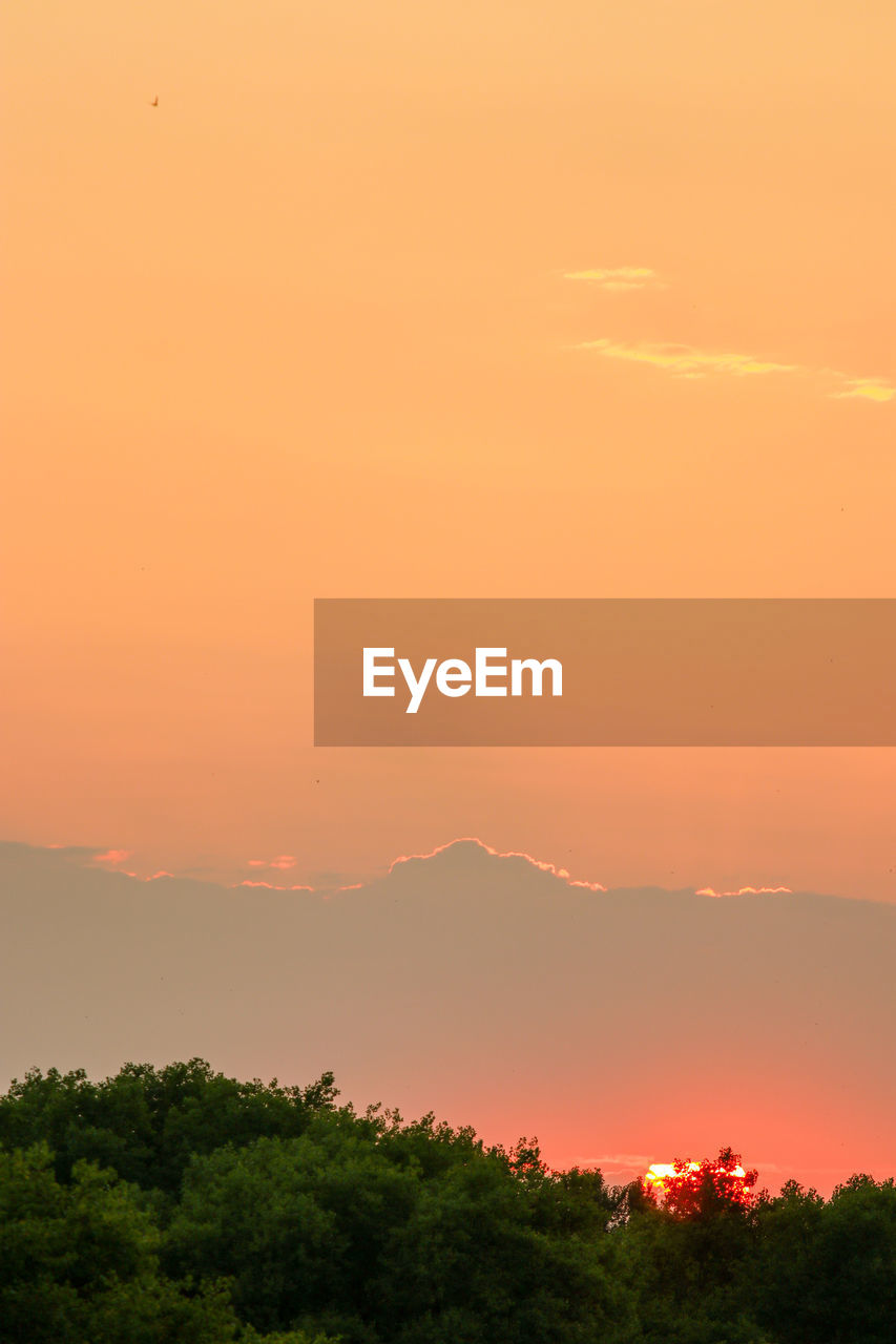 Scenic view of silhouette trees against orange sky,sunset and summer 