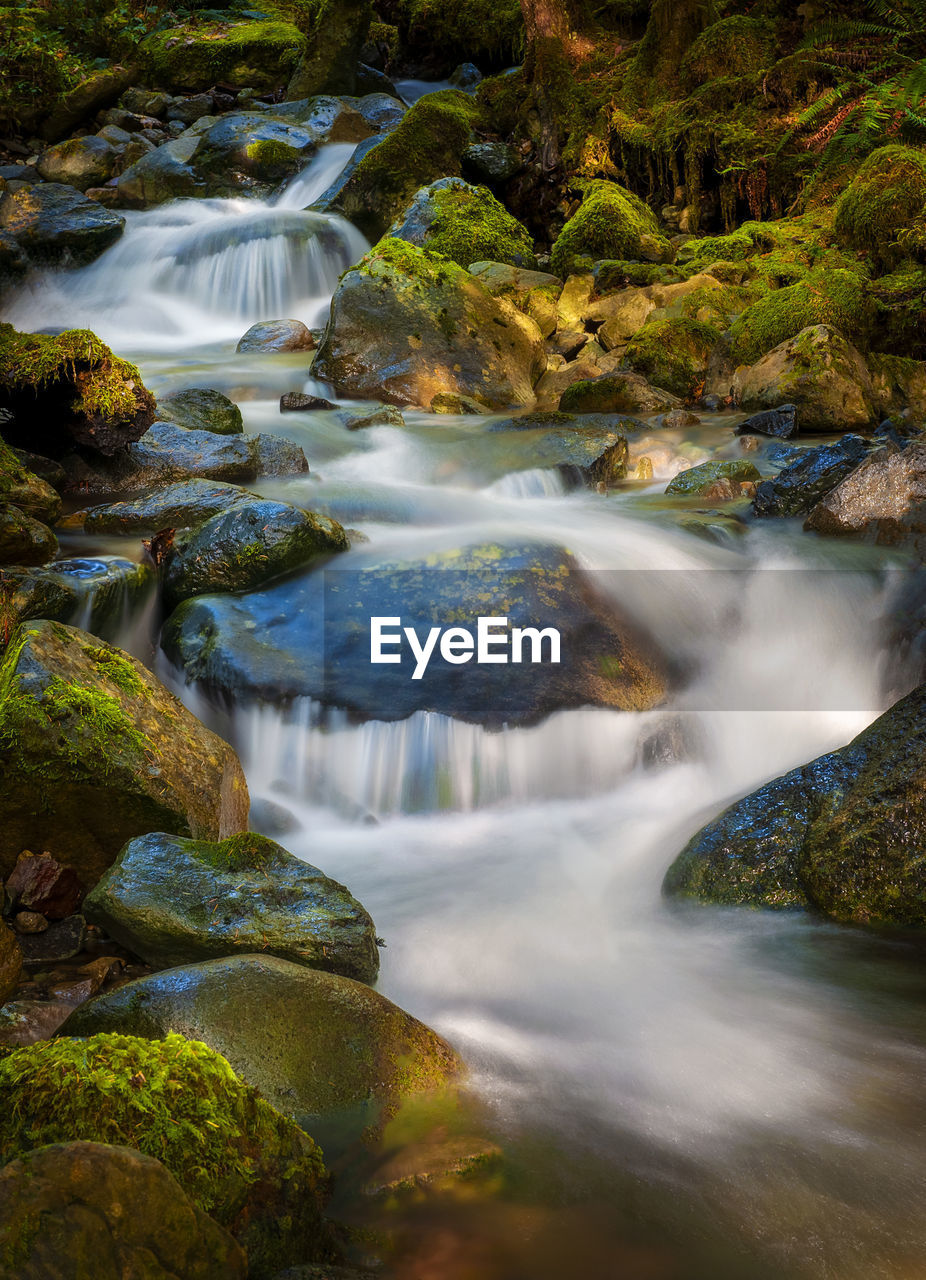 SCENIC VIEW OF WATERFALL IN STREAM