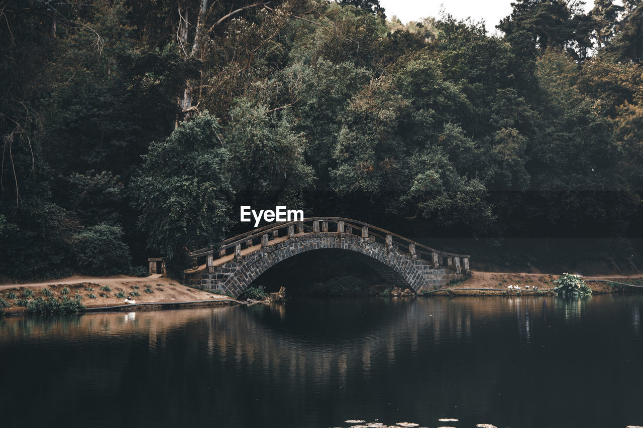 Arch bridge over river against trees