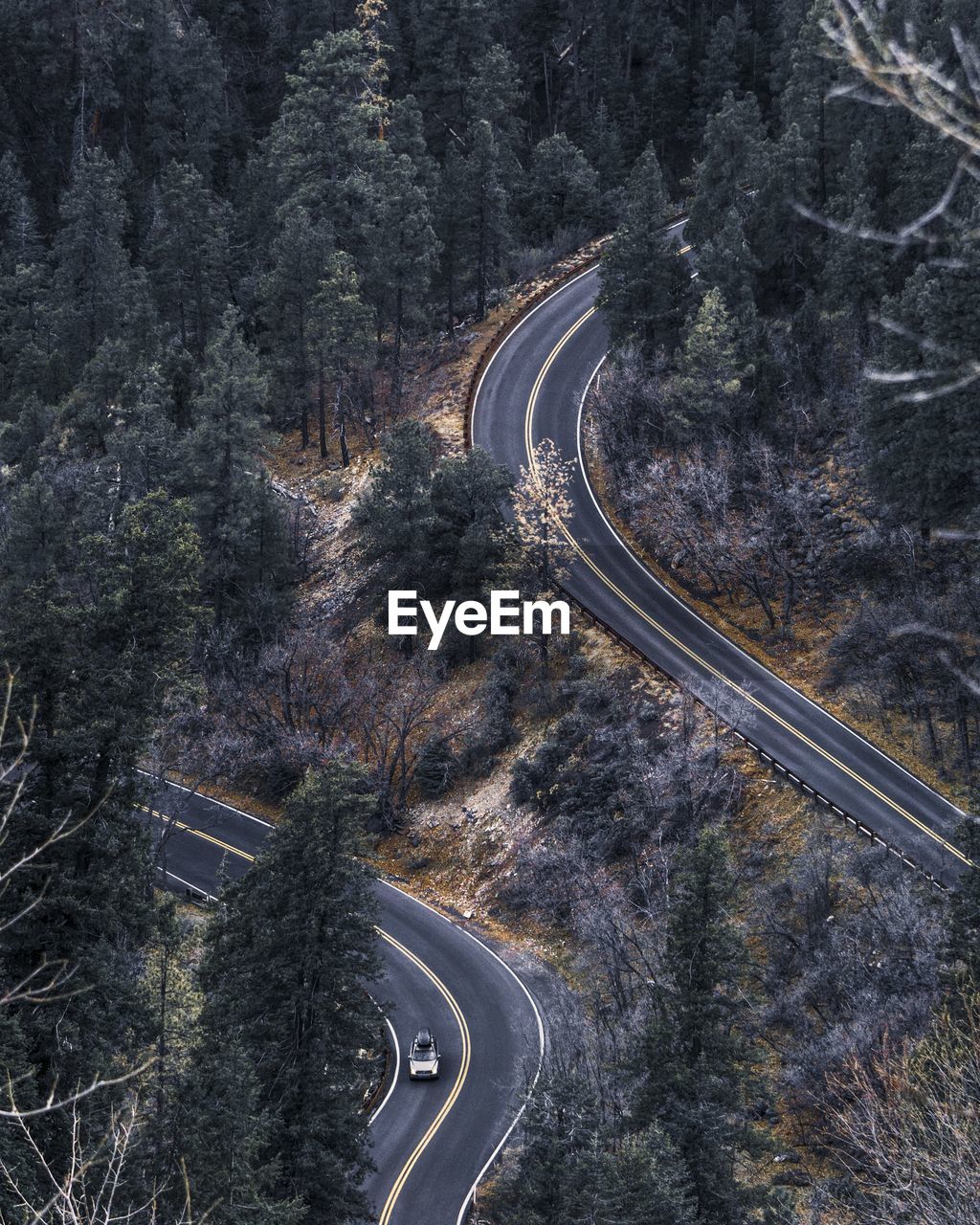 Aerial view of winding road