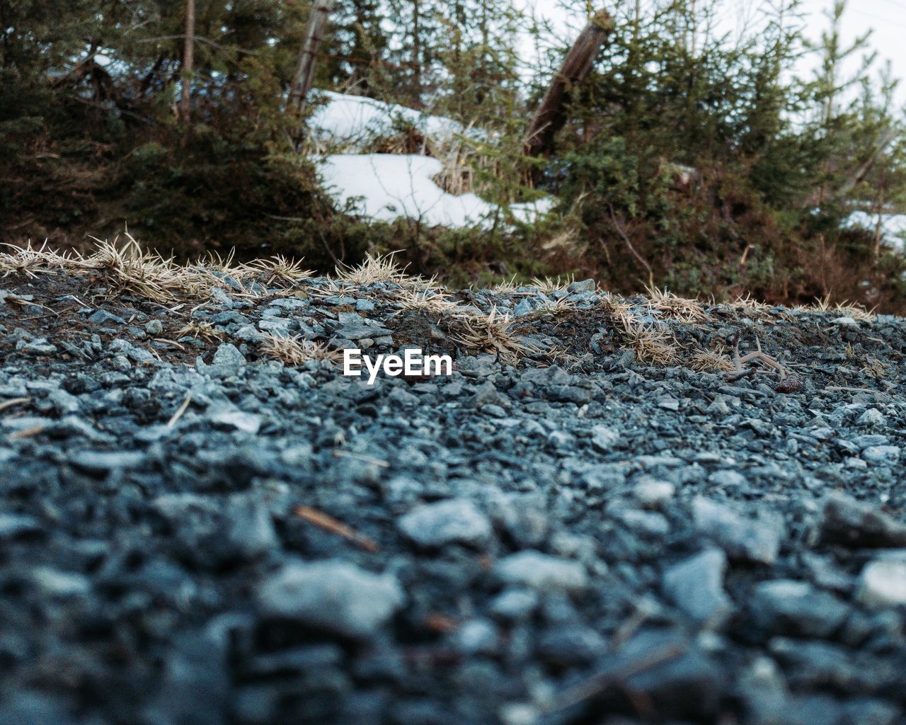 Surface level of rocks on field