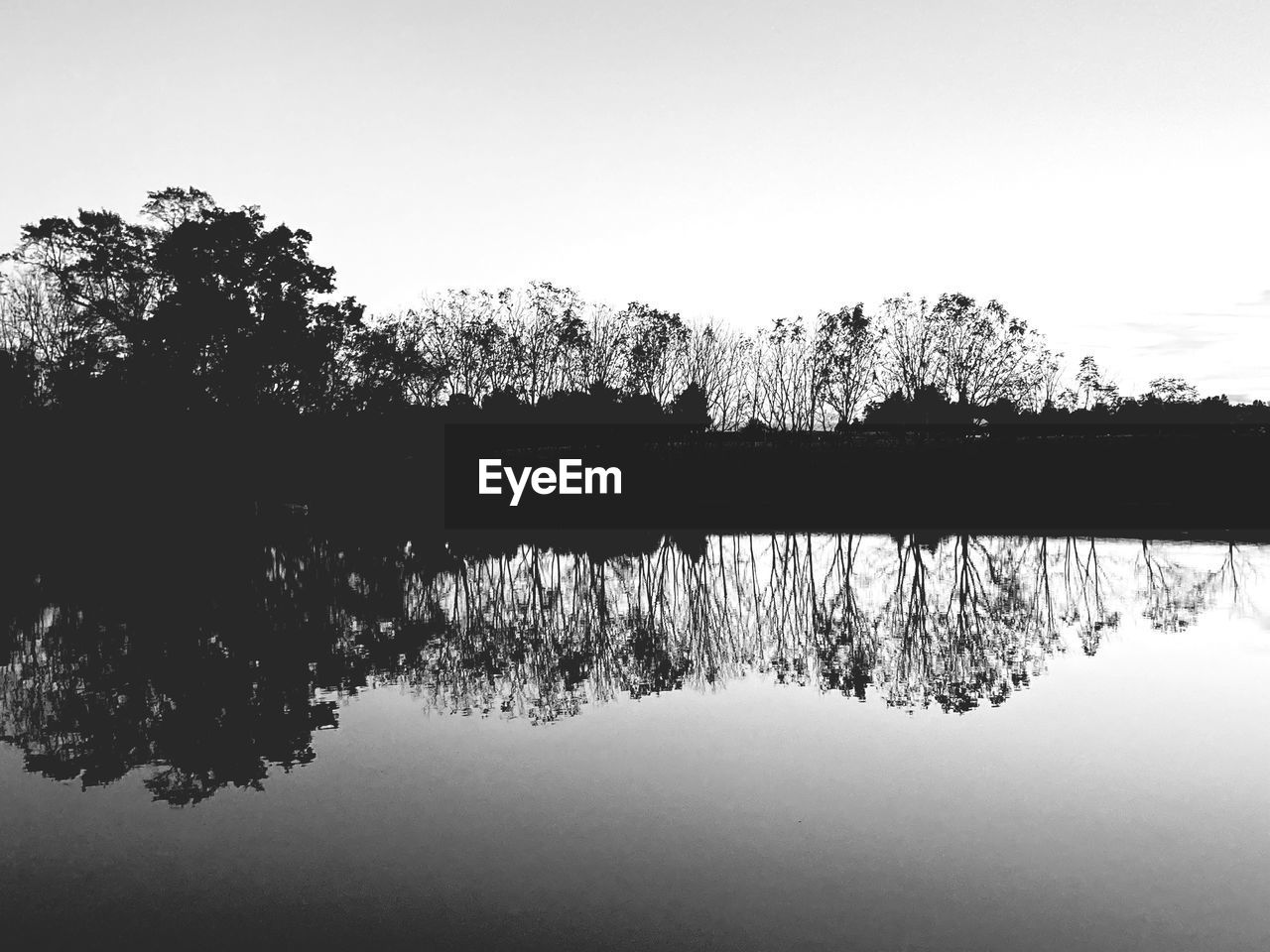 REFLECTION OF TREE IN LAKE AGAINST SKY