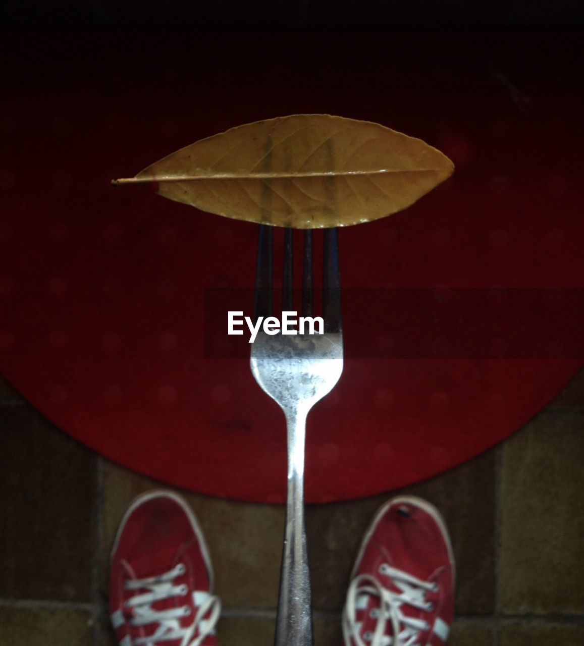 Yellow leaf on fork