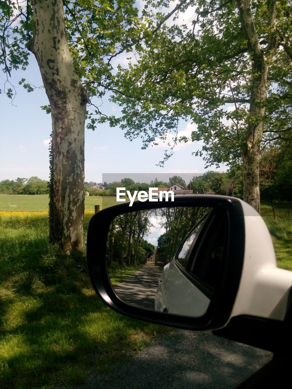 REFLECTION OF CAR ON SIDE-VIEW MIRROR