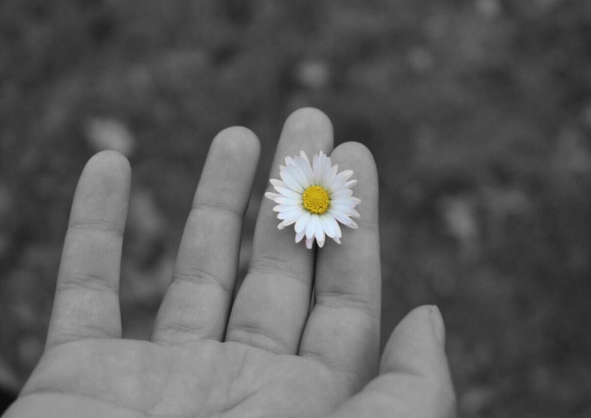 CLOSE-UP OF HAND WITH FLOWER